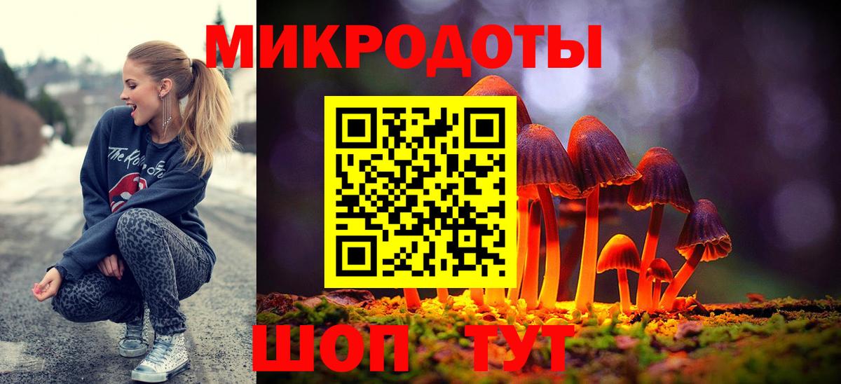Псилоцибиновые грибы Psilocybine cubensis Шадринск